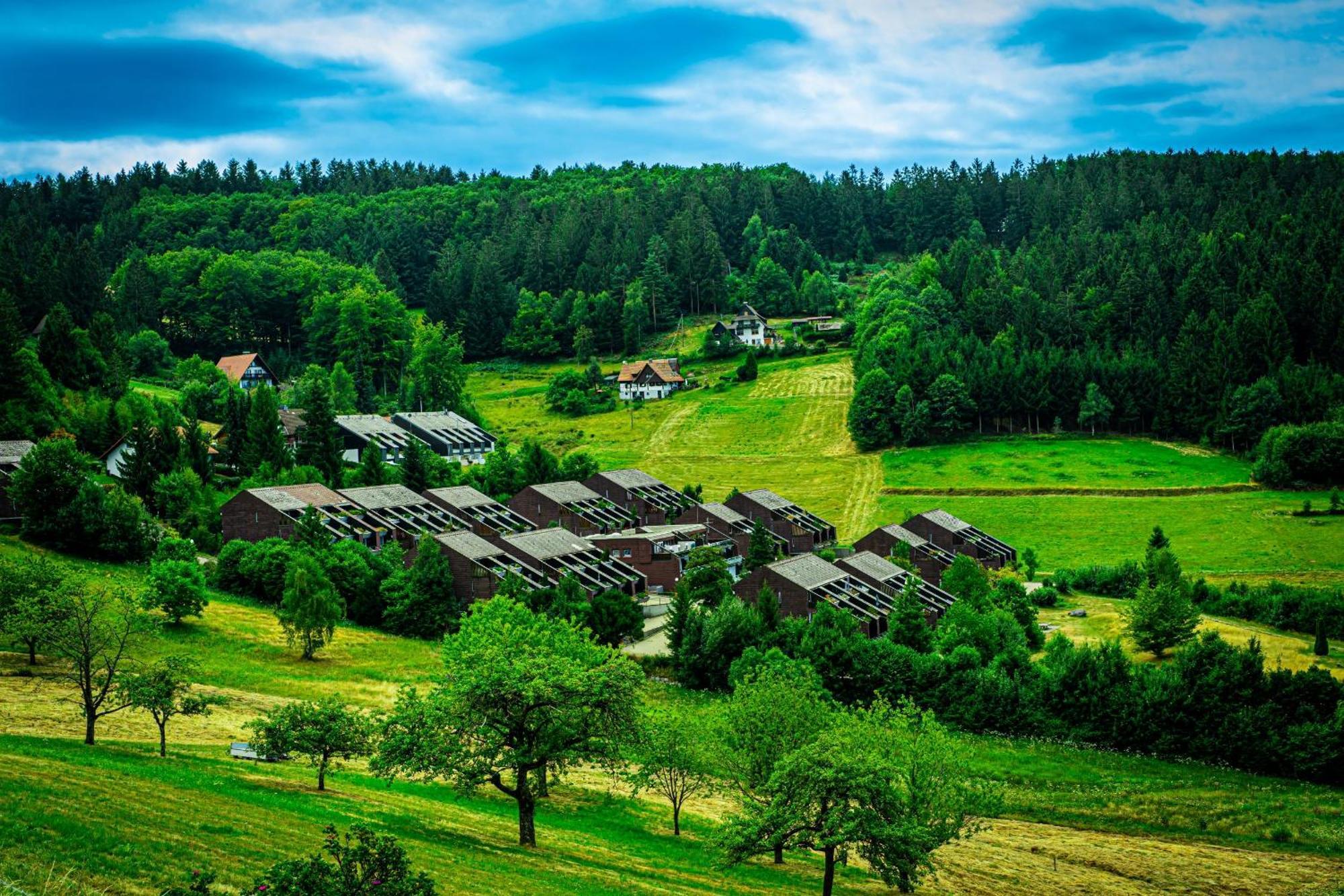 Natur Tanken Im Schwarzwald Sasbachwalden Eksteriør billede